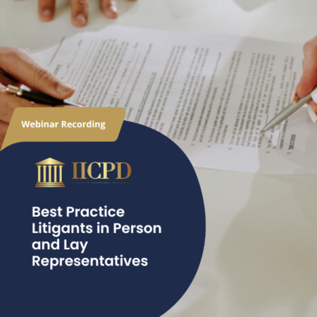 IICPD Webinar Recording: Best Practice - Litigants in Person and Lay Representatives, with a neutral document-review photograph